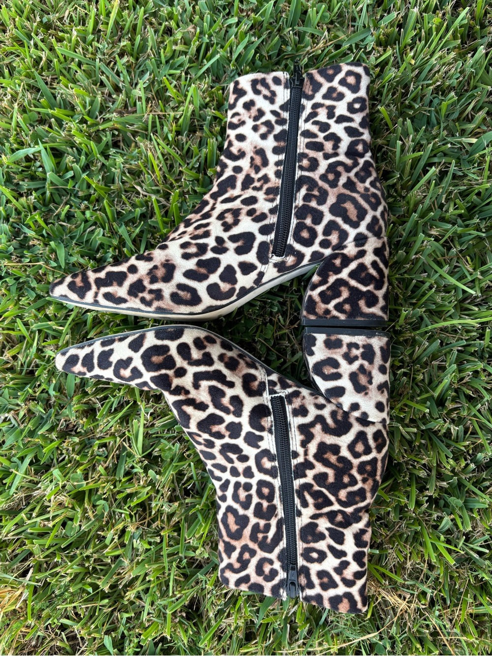Steve Madden Leopard Print Ankle Boots - Black & Tan